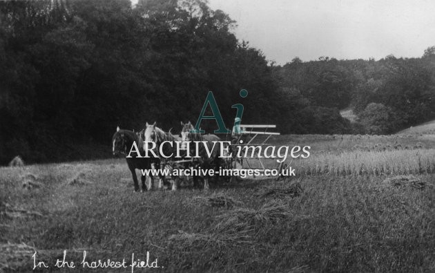 Rural Britain Harvesting c1920 MD