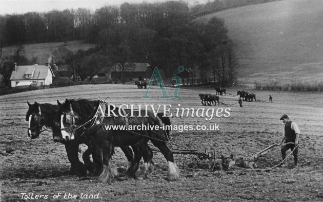 Rural Britain Ploughing c1920 MD