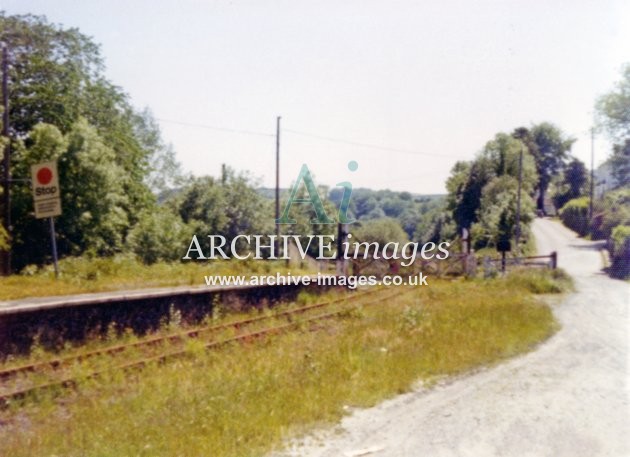 Bronwydd Arms Halt 1974