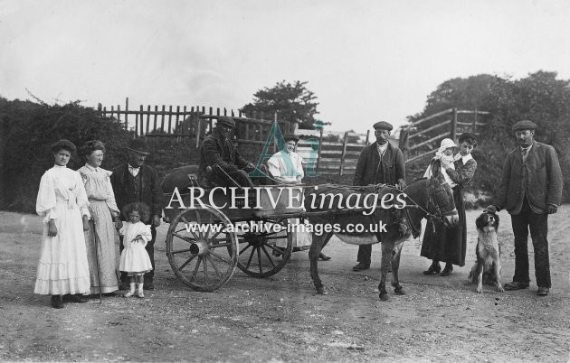 Edwardian Donkey Cart & Group MD