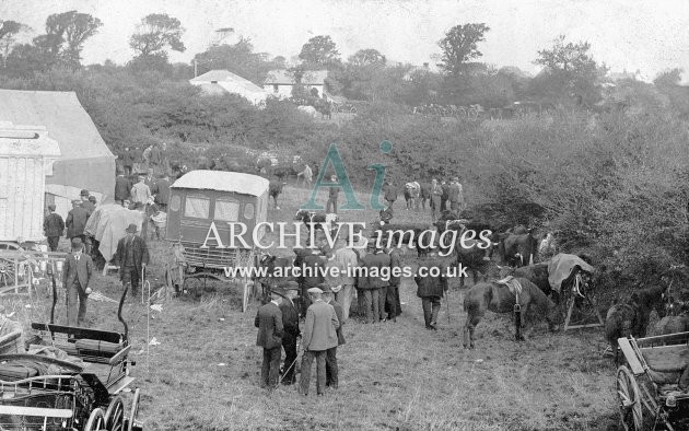 St Dennis Livestock Market c1906