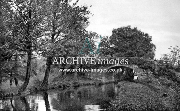 Monmouthshire Canal, nr Pontypool