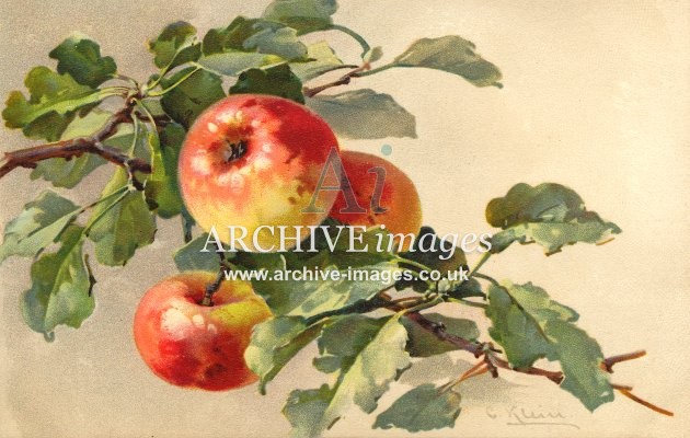 Christina Klein, Fruit, Apples MD