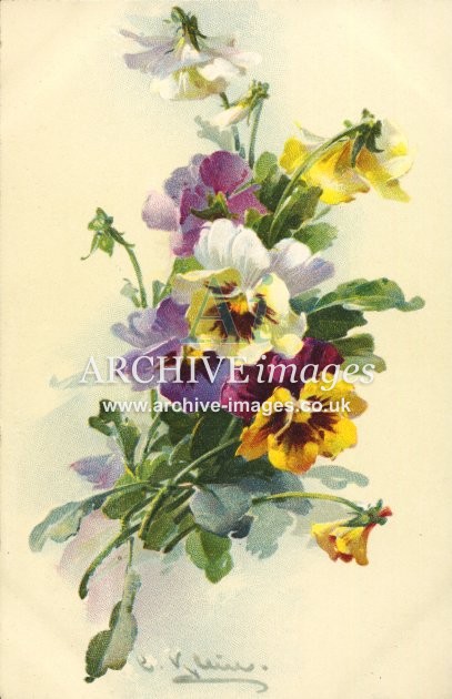 Christina Klein, Flowers, Pansies MD