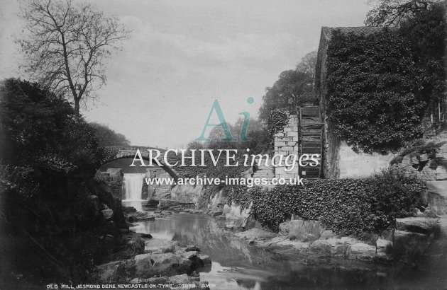 Jesmond Dene Mill & Bridge, nr Newcastle c1885 MD