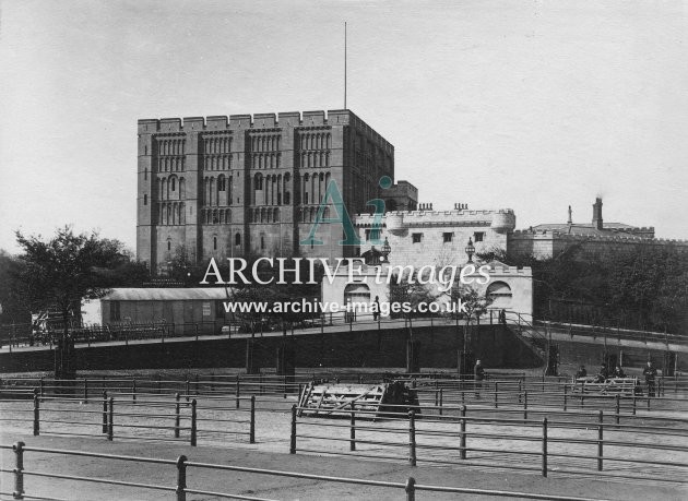 Norwich Castle & Cattle Market c1885 MD