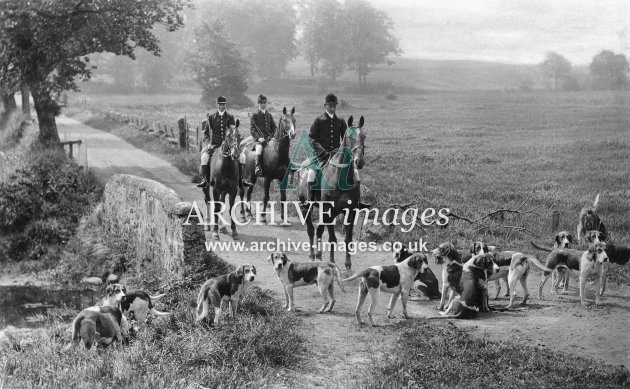 Rural Hunting With Hounds Scene MD