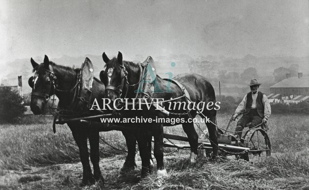 Haymaking with Horses MD