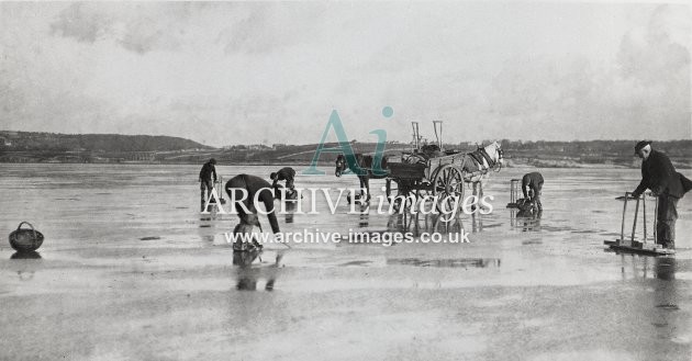 Edwardian Seaside Shrimping MD