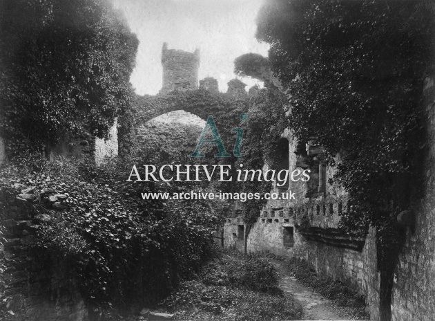 Conway Castle, Ivy Covered Walls c1890 MD