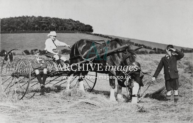 Harvesting Scene & Horse-Drawn Hay Rake MD