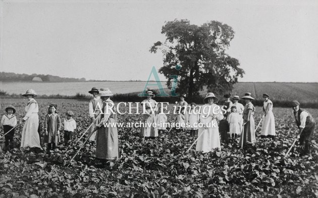 Edwardian Women Field Workers MD