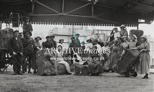 Edwardian Harvest Farmworkers MD