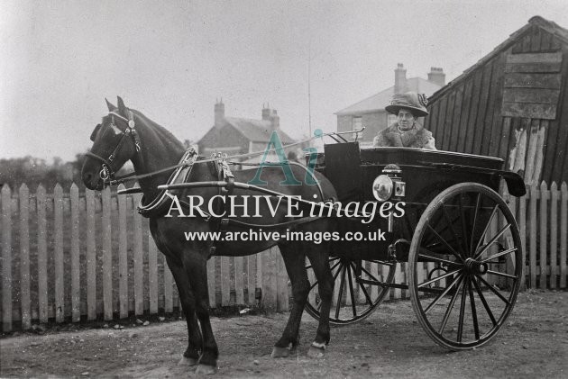 Edwardian Horse & Trap MD