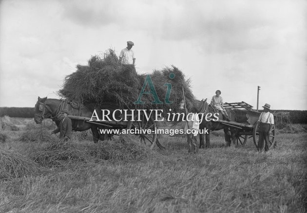 Harvesting Scene MD