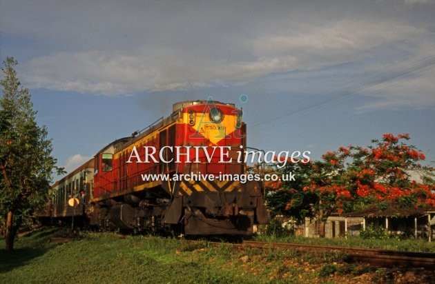 Cuba Railways, Diesel No 51039 14.6.97