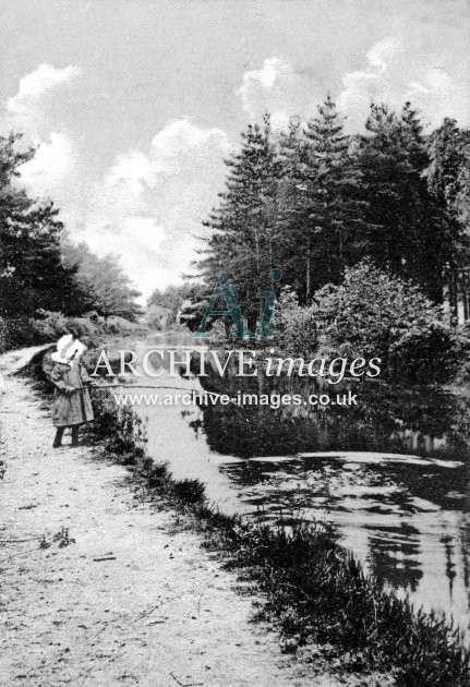 Basingstoke Canal, Woking