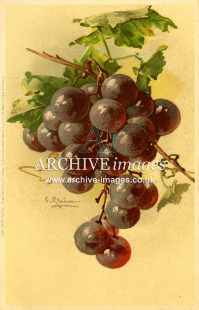 Christina Klein, Fruit, Black Grapes, M&B Serie 1271