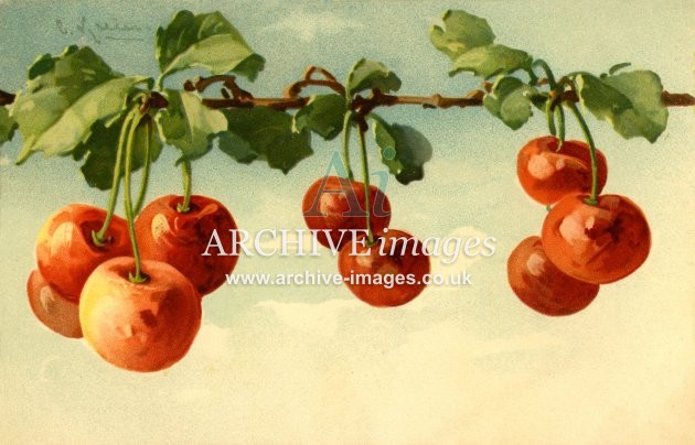 Christina Klein, Fruit, Red Cherries