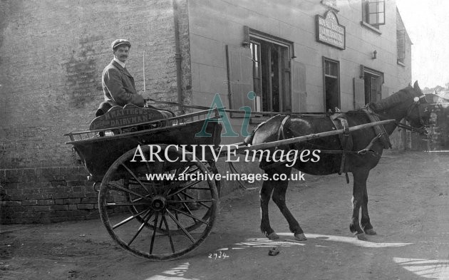 Charlton Kings, Cheltenham, Matthews Dairy Cart c1910