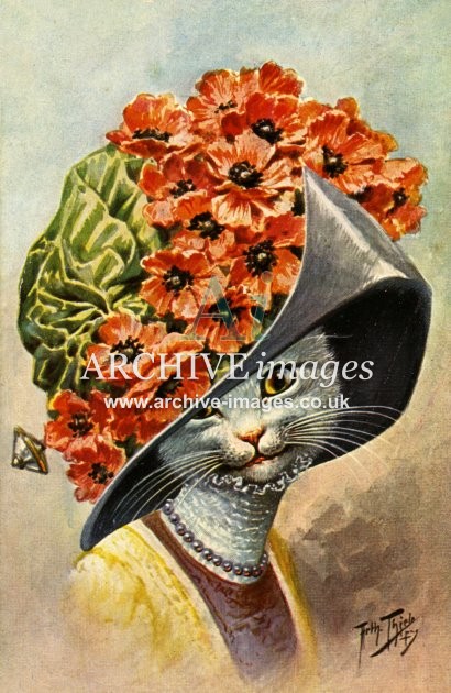 Arthur Thiele, Lady Cat in Poppy Hat