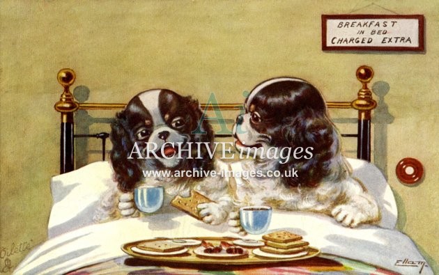 Ellam, Breakfast In Bed, Spaniels