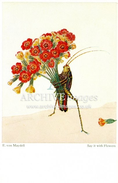 E von Maydell, Say It With Flowers