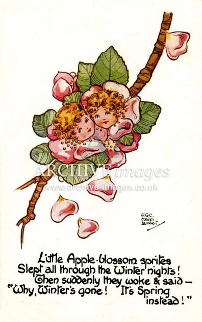 Flower Fairies, Little Apple Blossom