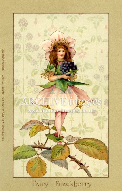 Margaret Tarrant Series No 923A, Fairy Blackberry