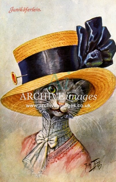 Arthur Thiele, Lady Cat in Black Ribbon Hat