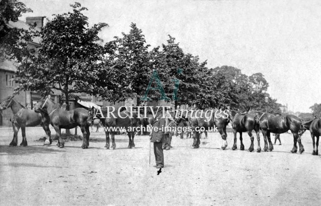 Moreton in Marsh Fair Day, horse market