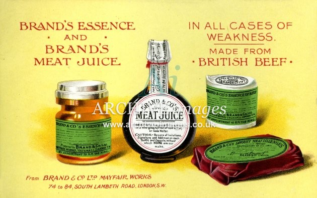 Brands Beef Essence & Meat Juice FG