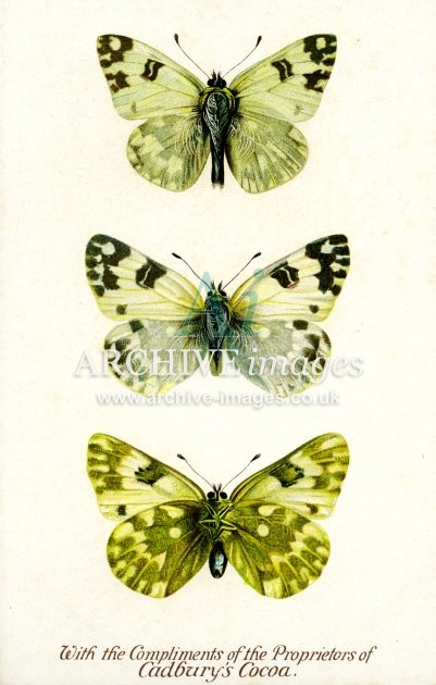 Cadburys Reward Card, Bath White Butterfly FG