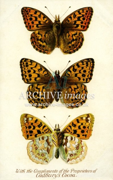 Cadburys Reward Card, High Brown Fritillary Butterfly FG