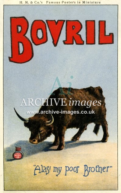 Bovril, Bull, Alas My Poor Brother FG
