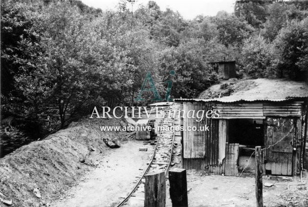 Bicslade Free Mine