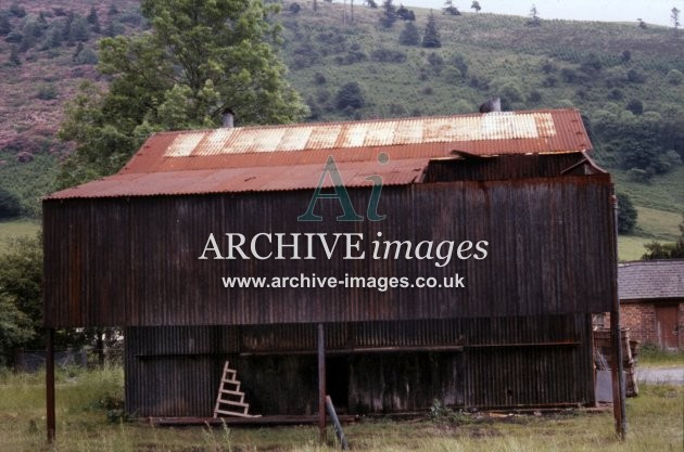 Dinas Mawddwy Railway Station c1970