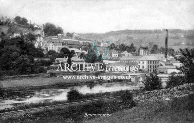 Thames & Severn Canal, Brimscombe Port c1910