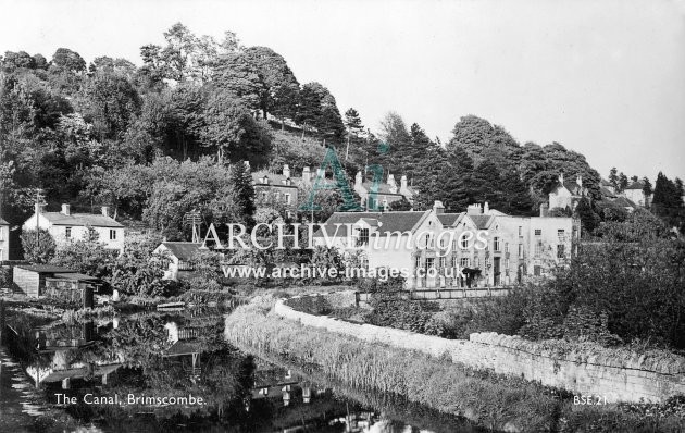 Thames & Severn Canal, Brimscombe Port c1960