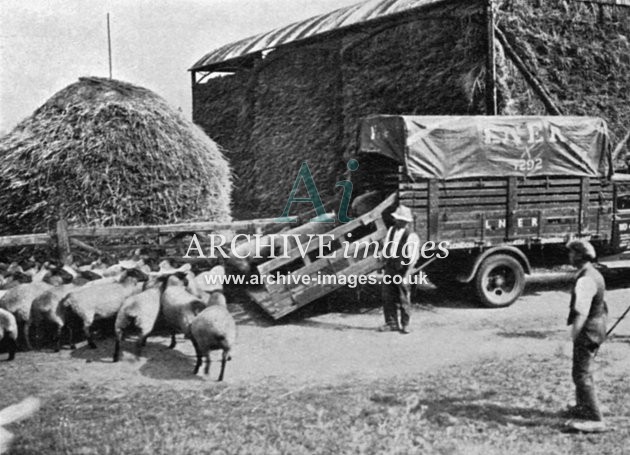 Railway Lorry