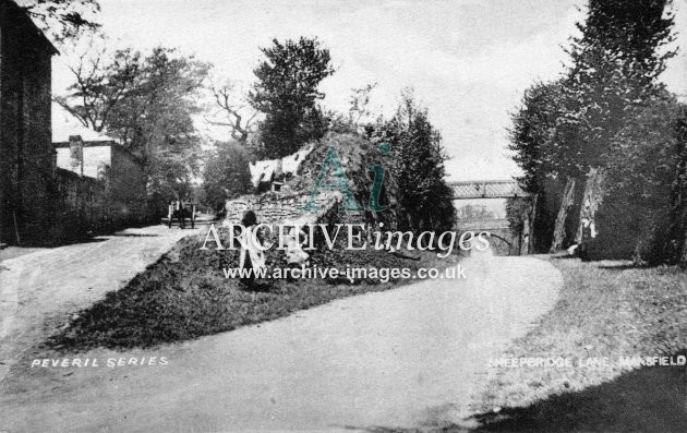 Mansfield, Sheepbridge Lane c1905