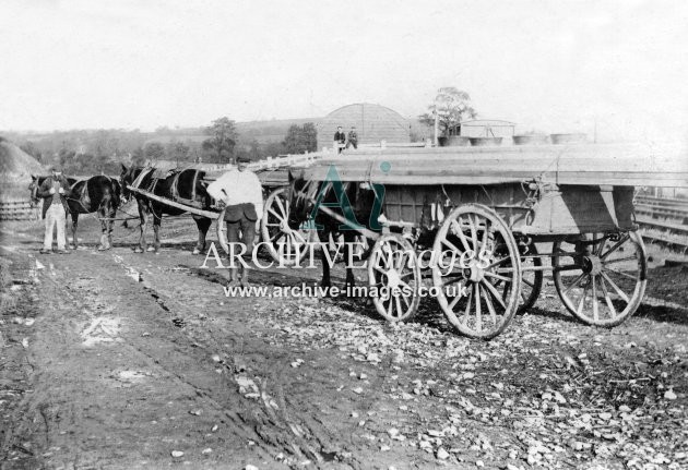 Unknown goods yard, poss. Somerset, carts loaded timber c1908