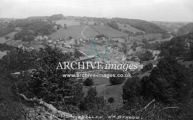 Brimscombe Valley, station & GWR train c1908