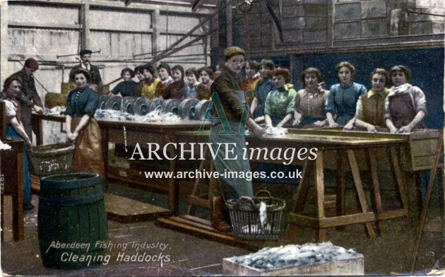 Aberdeen Fishing Industry cleaning haddocks c1910 CMc