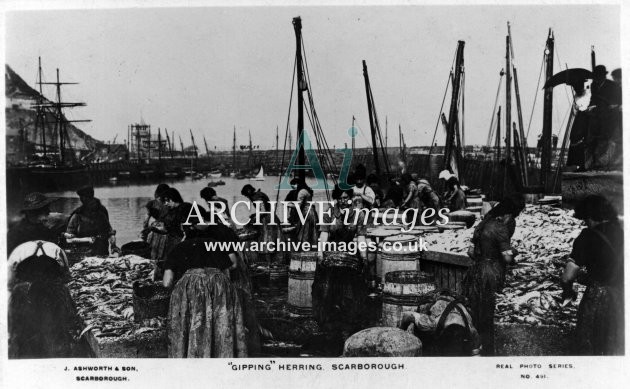 North Yorkshire Scarborough gipping herring fishing industry c1908 CMc