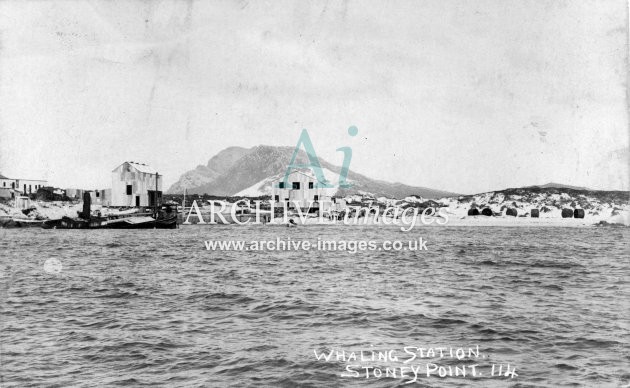South Africa whaling station Stoney Point c1905 CMc