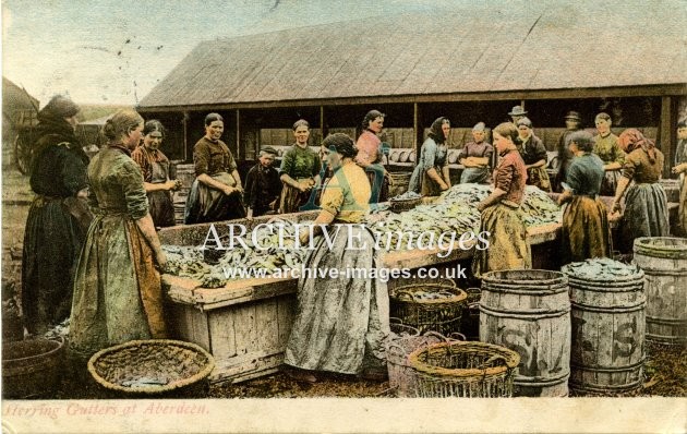 Aberdeenshire Aberdeen fishing Industry herring gutters c1905 CMc