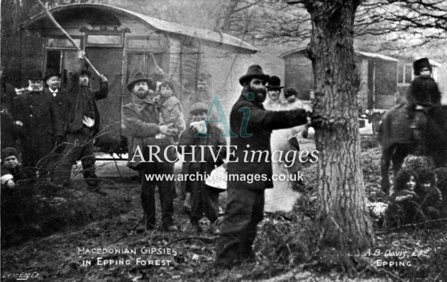 Essex Macedonian Gypsies Epping Forest c1905 CMc