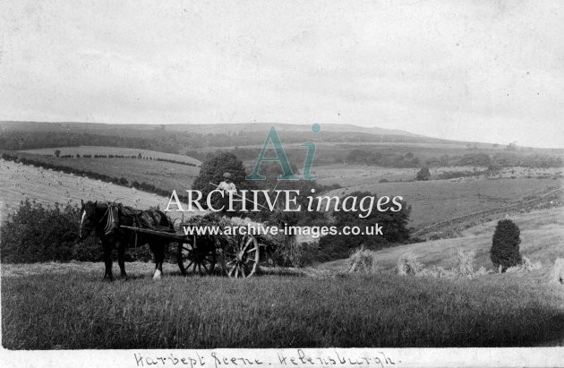 Dumbartonshire Helensburgh harvest scene c1910 CMc
