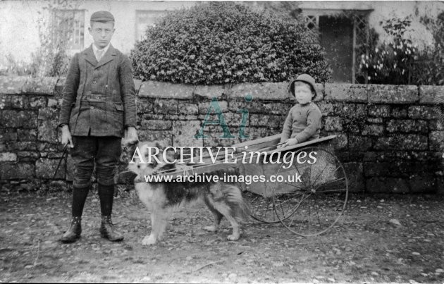 Dogs Border Collie and dog kart unknown location c1910 CMc